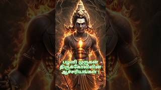 பழனி முருகன் திருக்கோவிலின் ஆச்சரியங்கள் facts murugan palani muruga bogar tamil history [upl. by Aiotal470]