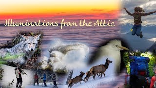 Illuminations from the Attic Channel Trailer [upl. by Atilemrac]