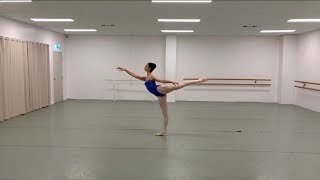 Sophie Cotton BICD Prix Audition Video [upl. by Cormick686]