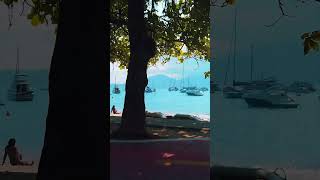 🌴 Beautiful Beach Ilhabela São Paulo Brazil shorts beach praia travel [upl. by Sudaorb]