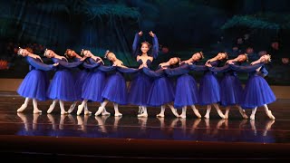 Photo review from Akhmedova Ballet Academy [upl. by Iahk]