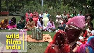 Panditain collects offerings from Ladies  Post Karva Chauth Katha rituals [upl. by Blayne]