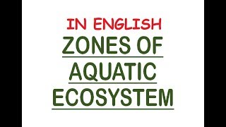 Aquatic Ecosystem Zones  PhoticAphotic Limnetic Pelagic Intertidal Neritic In Eng [upl. by Emelun]