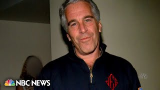 New details on days leading up to Jeffrey Epstein’s death revealed [upl. by Ahsehat]