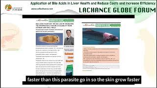 Dr Ghonimy  Bile acids applications in salmon liver health [upl. by Kendall874]