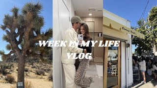 week in my life vlog  traveling to Joshua Tree [upl. by Eceirahs]