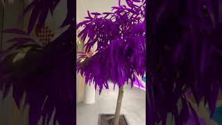 Purple tree O [upl. by Petey]