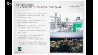 Novozymes Webinar From Biomass to Bioenergy [upl. by Annaej]