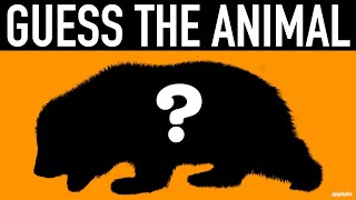 Guess the Animal Quiz 9  Can You Guess the Animals Shadow  Animal Quiz Guessing Game [upl. by Wing]