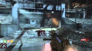 Black Ops Zombies  WunderWaffe quotGoldenquot  Lets Pack That Punch Episode 36 [upl. by Esirehc]