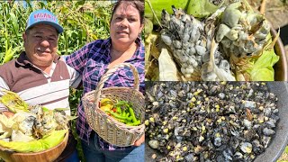 Como Preparar Huitlacoche Manjar De México🌿💯🌽 [upl. by Ednalrim]