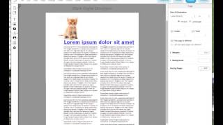 LucidPress tutorial How to fix problematic whitespace in a layout [upl. by Ahola474]