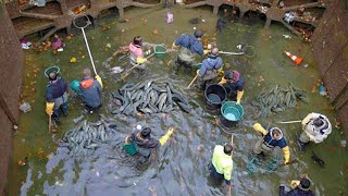 When Authorities Drained This 200 Year Old Canal What They Found At The Bottom Was Extraordinary [upl. by Jessica]