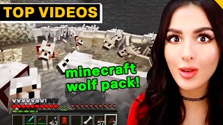 Most Epic Gaming Moments  SSSniperWolf [upl. by Langston]