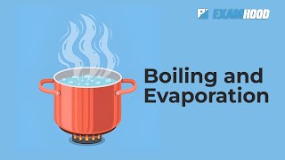 BOILING AND EVAPORATION [upl. by Rafe441]