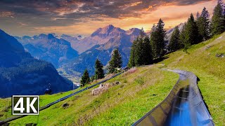 Mountain Coaster Oeschinensee 🇨🇭 an unforgettable experience with a panoramic view of the Alps [upl. by Litta]