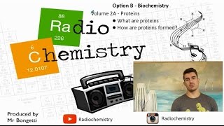 Option B Biochemistry  Proteins and Enzymes Volume 1 [upl. by Ekrub]