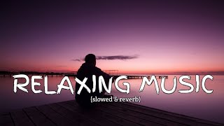 Relaxing music Lyrics  New song 2024 New English song  Best song english [upl. by Raddie]