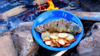 Catching amp Cooking Wild Trout Fish n’ Chips Over a Fire [upl. by Yemac664]