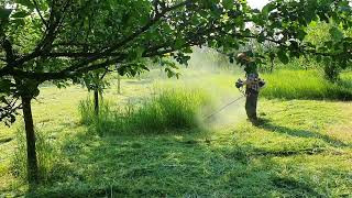 Stihl FS 260 C in action [upl. by Brand]