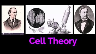 CELL THEORY CELL BIOLOGY  SCHWANN Robert HookeAnton van Leeuwenhoek [upl. by Onileba]