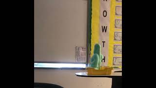 Elephants Toothpaste [upl. by Nani]