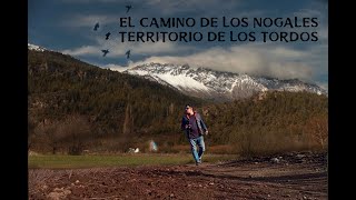 Camino De Los Nogales [upl. by Airot]