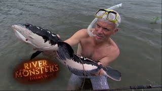 Jeremy Catches Giant Snakehead With Bare Hands  SNAKEHEAD  River Monsters [upl. by Naujd205]