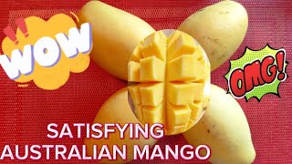 🛑 SATISFYING Cutting Australian Mango 🥭 👀 😲 Lets go 🤸💥🥭 ASMR cutting fruit mango [upl. by Suzan]