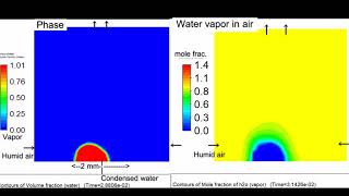 etp337 Condensation of water vapor Mass transfer model [upl. by Notirb]