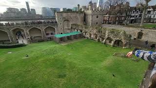 Ravens at the Tower of London [upl. by Kooima]