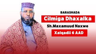 Barashada Cilmiga Dhaxalka Q6aad ShMaxamuud Naxwe [upl. by Yelyr]