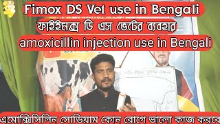 amoxicillin sodium injection use in BengaliFimox DS vet injection use  Fimox কোন রোগে ভালো কাজ করে [upl. by Eusassilem]