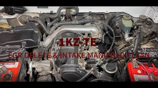 1KZTE EGR DELETE  TOYOTA PRADO HILUX SURF 4RUNNER HIACE [upl. by Barstow]