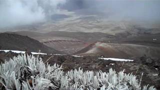 footage  COTOPAXI last flowers  4500m [upl. by Reinhardt827]