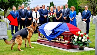 Le Chien Aboie Furieusement Devant le Cercueil de son Maître Quand Ils lOuvrent la Foule Crie [upl. by Annod766]