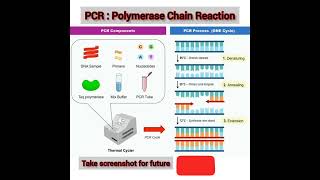 Quick ampEasy PCR full form procedure [upl. by Nnylesor]