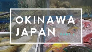 Okinawa Japan Travel Tips amp Experience Part 2 [upl. by Annahvas]