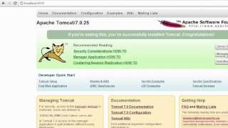 How to install a new Tomcat Server to Netbeans 71 [upl. by Ennad]