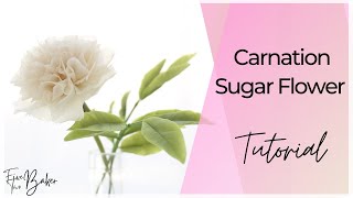 Carnation Sugar Flower Tutorial ⎸Step by Step How to Make a Carnation [upl. by Monah]