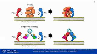 Chromogenic Factor VIII and IX Assays Impact on Diagnosis and Management of Hemophilia [upl. by Stovall]