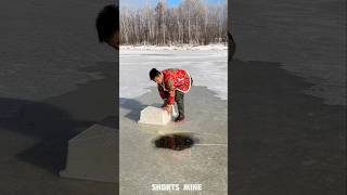 Fishing in the ice zone 🐟 shorts shortsmine shortsvideo [upl. by Herta564]