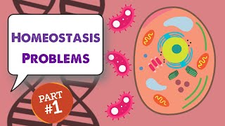 MCAT Biology Homeostasis Problems [upl. by Ahseiat]