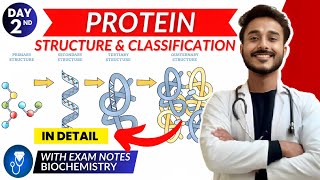 protein biochemistry  structure of protein biochemistry  classification of protein [upl. by Nerrat]