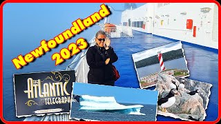 Newfoundland 2023 [upl. by Aihsenek]