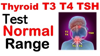 Thyroid t3 t4 tsh normal values  Thyroid test normal range [upl. by Lindholm]