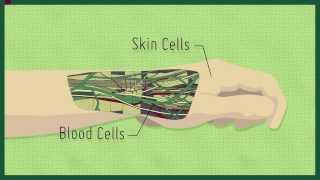 StemCellShorts  What are induced pluripotent stem cells Narrated by Dr Mick Bhatia [upl. by Humfrid157]