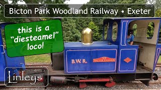 Bicton Botanical Woodland Railway • Narrow Gauge Line • Exeter • Devon [upl. by Adnof]