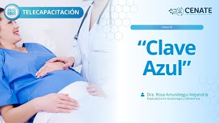 Clave Azul [upl. by Suoicul]