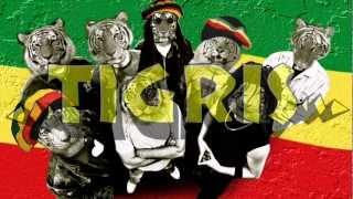 TIGRIS  Divatos 2012 Copy Con punk rock reggae [upl. by Shafer870]